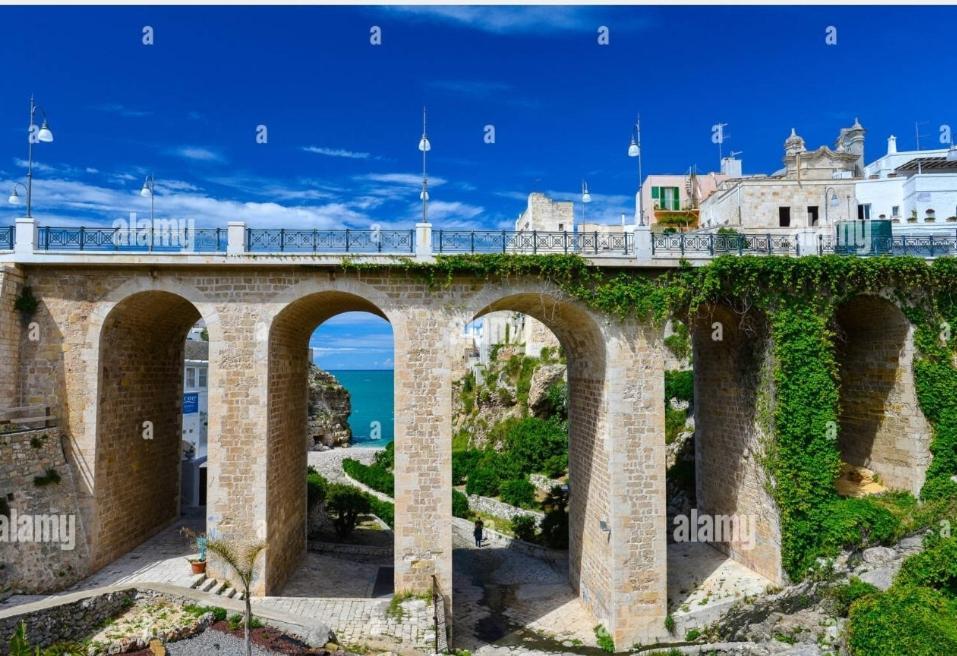 Apartament Il Pumo Blu Polignano a Mare Zewnętrze zdjęcie
